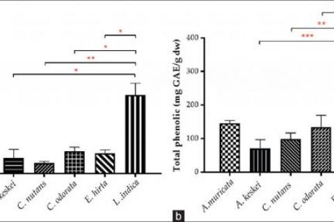 Euphorbia hirta Methanolic Extract Displays Potential Antioxidant Activity for the Development of Local Natural Products