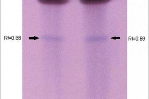 Saponin of Momordica cymbalaria Exhibits Anti‑Inflammatory Activity by Suppressing the Expression of Inflammatory Mediators in Lipopolysaccharide‑Stimulated RAW264.7 Macrophages