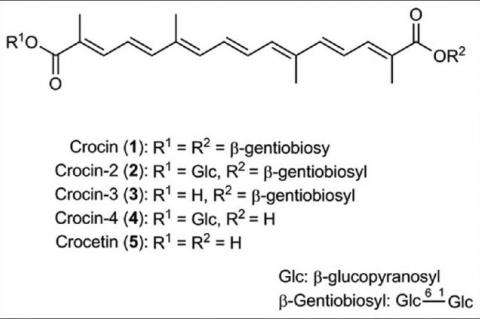 Suppression of Polyps Formation by Saffron Extract in Adenomatous polyposis coliMin/+ Mice