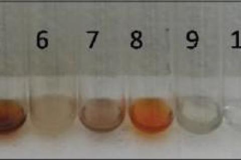 Biochemical Screening and Determination of Bioactive Components of Commercially Cultured Pacific White Shrimp Penaeus vannamei