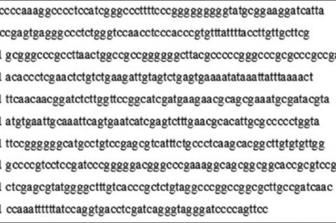 Bioactive Secondary Metabolites from the Locally Isolated Terrestrial Fungus, Penicillium sp. SAM16‑EGY