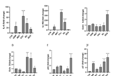 Four Colombian EEPs (USM, CAJ and SIL: 25 μg/mL; MET: 50 μg/ mL) were evaluated after 48 hr of exposure, on the relative expression of the (A) IL-6 and (B) IL-1R2. (C) CCNA2; (D) CCND1;