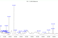 Chromatogram of GCMS of Eranda moola Niruha basti