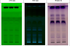 Image information of HPTLC of Jeevanthyadi ghrita at 254nm and 366 nm
