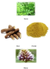 Leaves, Flower, Root and Powder of Glycyrrhiza Glabra.