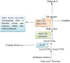 simplified overview of the Mevalonate pathway involved in cholesterol synthesis. Potential therapeutic interventions, including both conventional drugs and Traditional Chinese Medicines (TCMs), are highlighted. Dotted arrows represent pathways that are bypassed or not shown in this diagram.