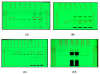 Developed HPTLC plates for all marker compounds. A. Gallic acid, B. Piperine, C. β-asarone, D. Aconitine).